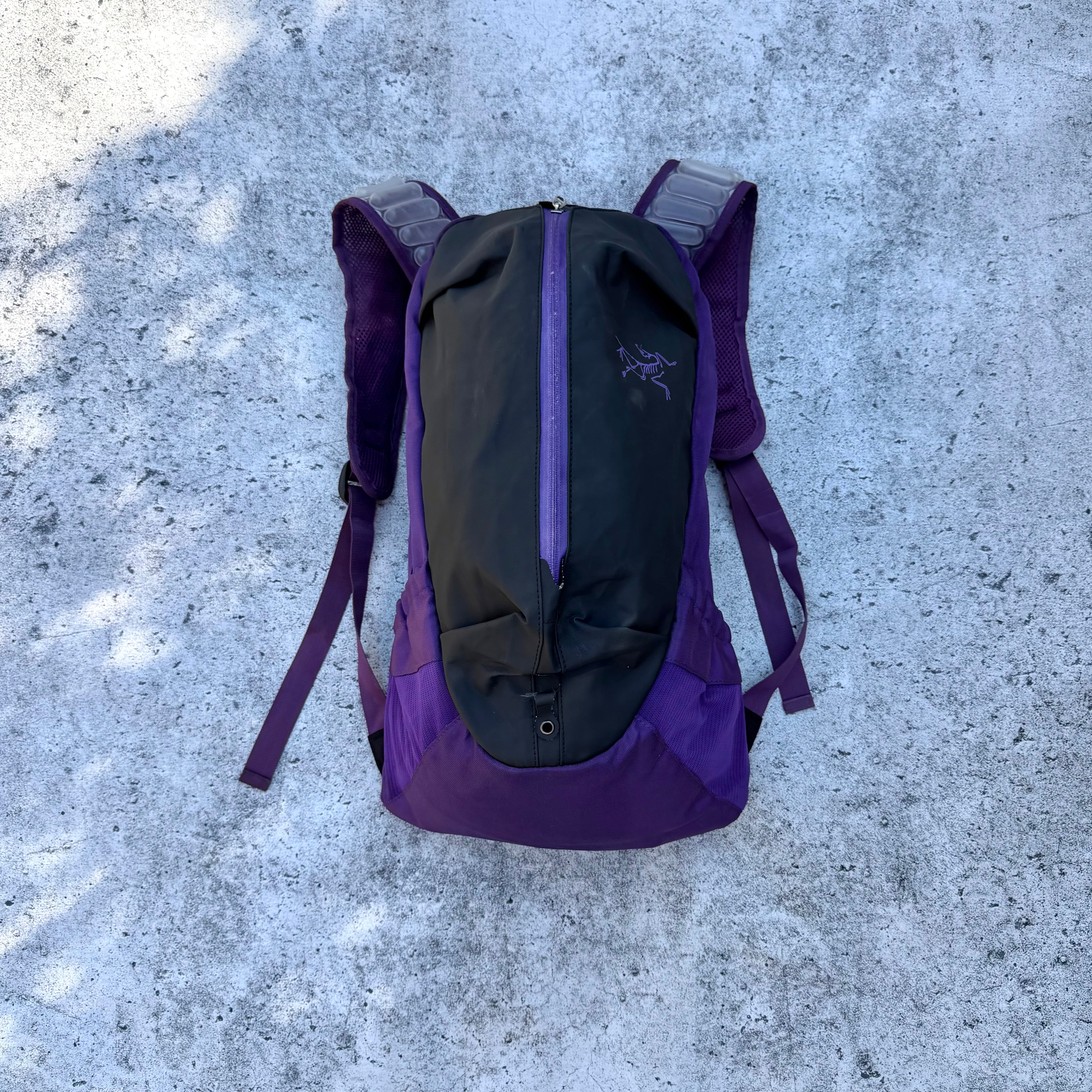 Arc'teryx Arro 22 Backpack