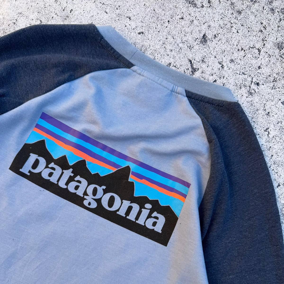 Patagonia Men's P-6 Logo Lightweight Crew Sweatshirt [Medium]
