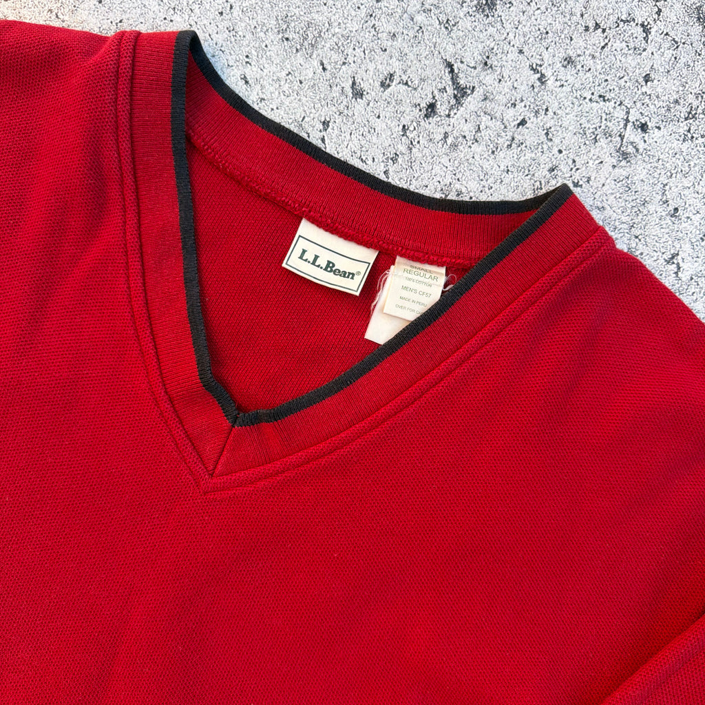 L.L.Bean Men's V-neck Sweater [Small]