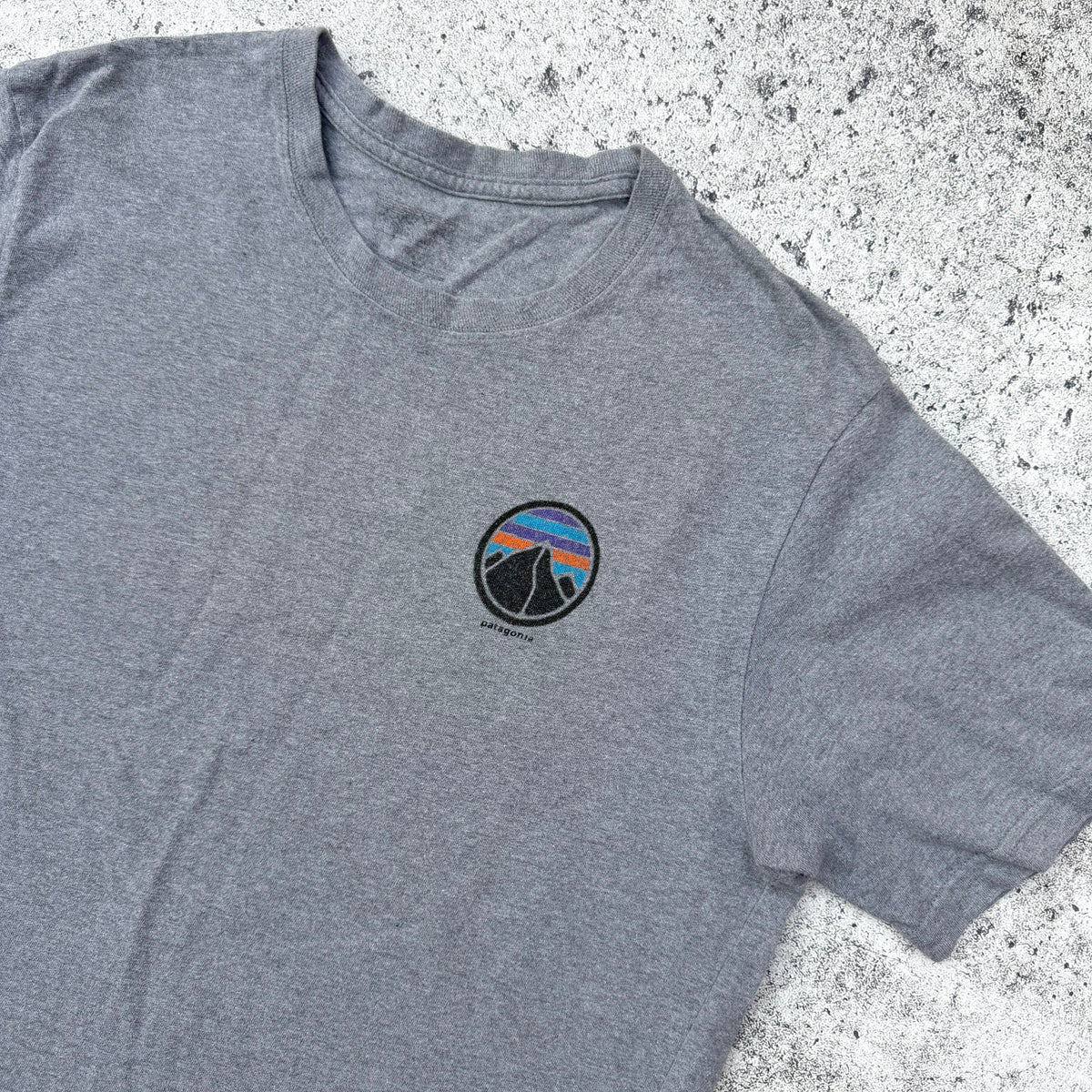 Patagonia Rivet Men’s Logo Organic Cotton T-Shirt [Medium]