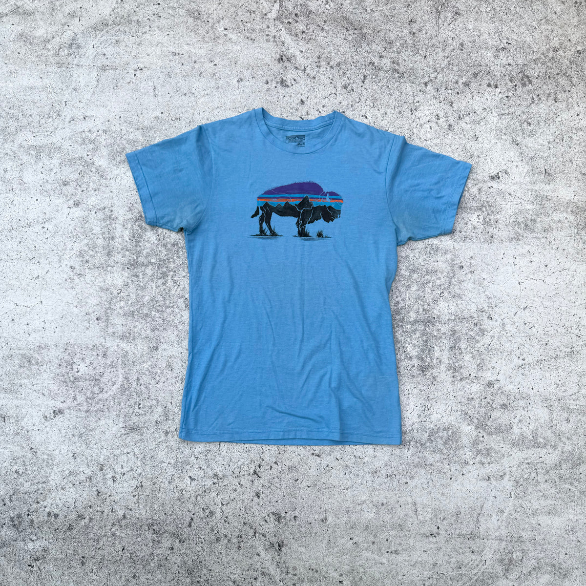 Patagonia Men's Buffalo Graphic T-Shirt [Medium]